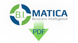 Scarica il PDF con la proposta BImatica per la Direzione e Gestione Aziendale